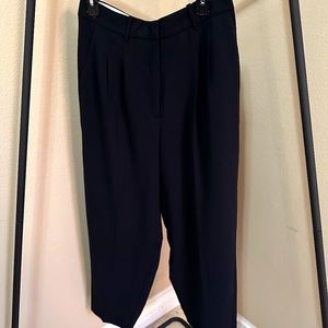Aritzia Wilfred Effortless Pants
